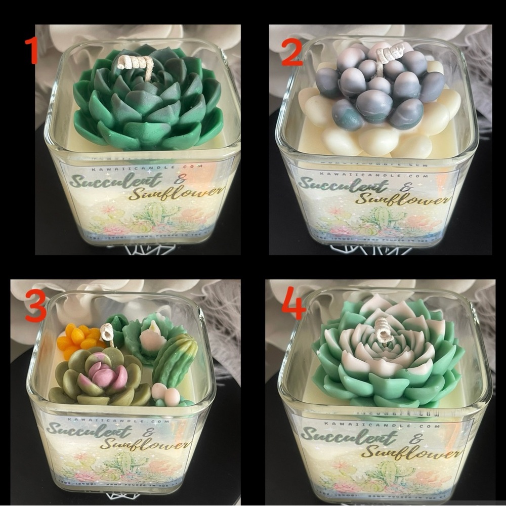 Succulent t & sun flowers candles